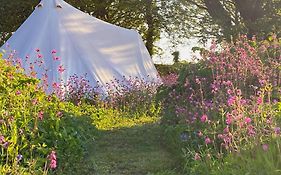 Foxglove Field Glamping